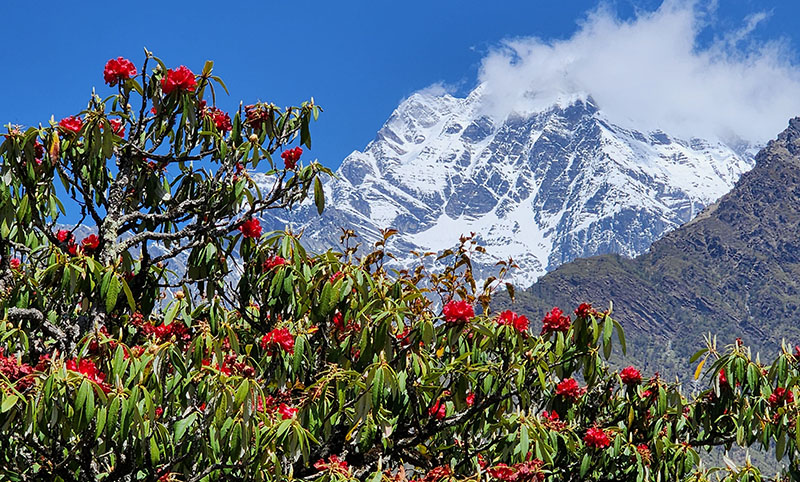 सिस्ने हिमालको सान